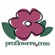 proflowers-customer-service-number-1-800-580-2913